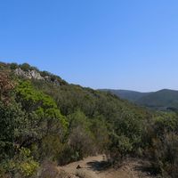 Photo de France - La randonnée du lac des Olivettes